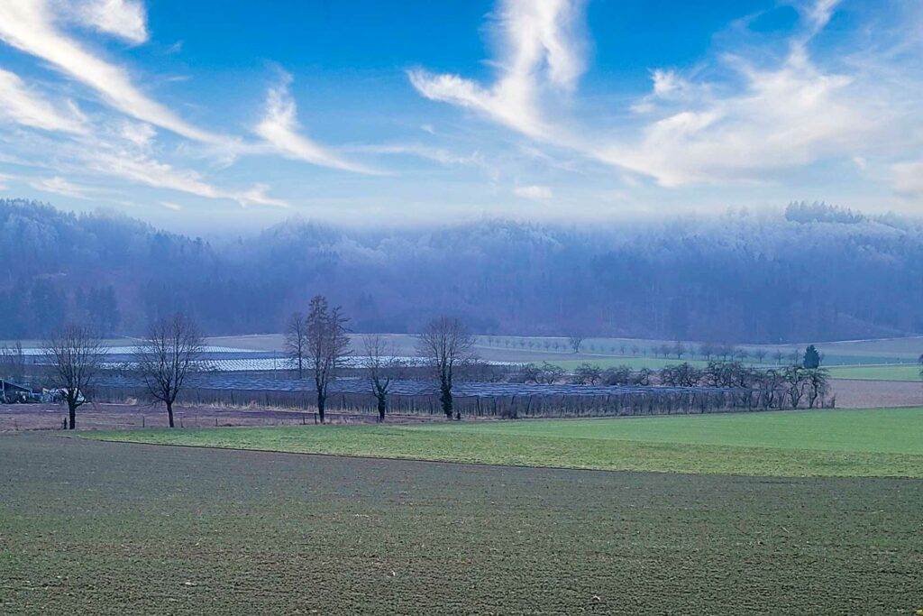 Gegenwind Hochbuehl Owingen Bodensee Windkraft Hochbuehl Winter 1