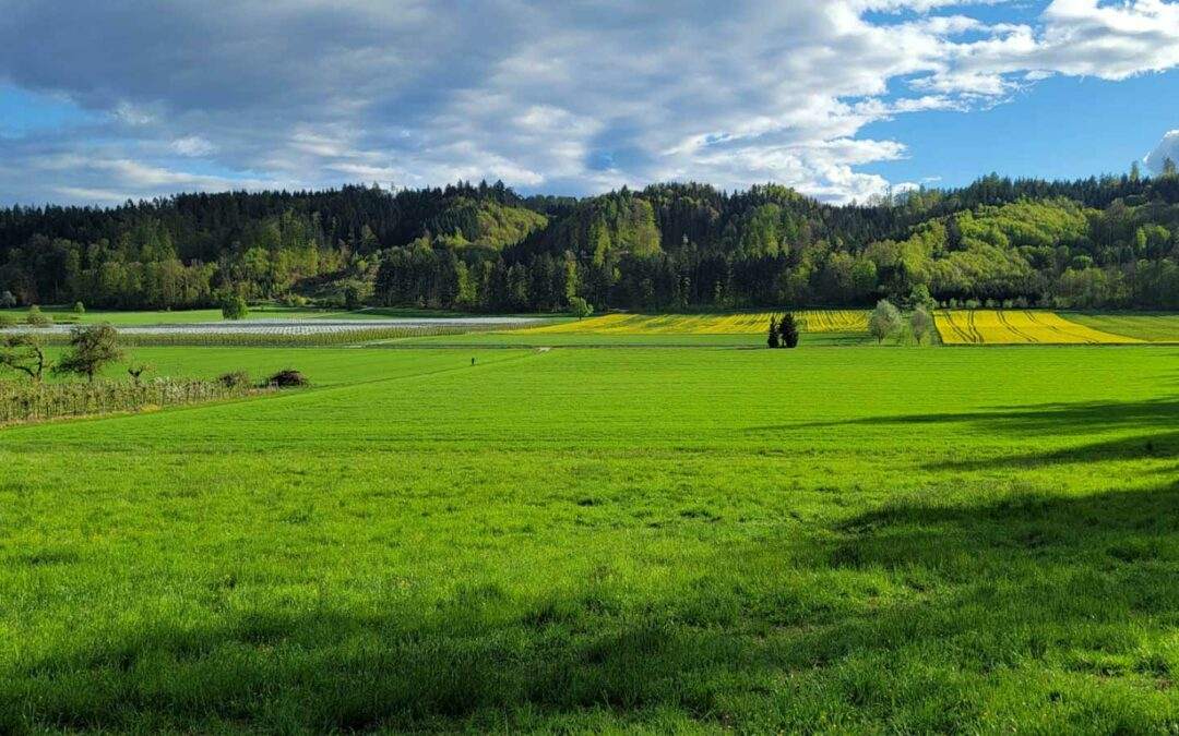 STELLUNGNAHME ZUM ZWEITEN ENTWURF DES REGIONALPLANS – AUFRUF DES GEGENWIND HOCHBÜHL E.V. FINDET 587 Unterzeichner!
