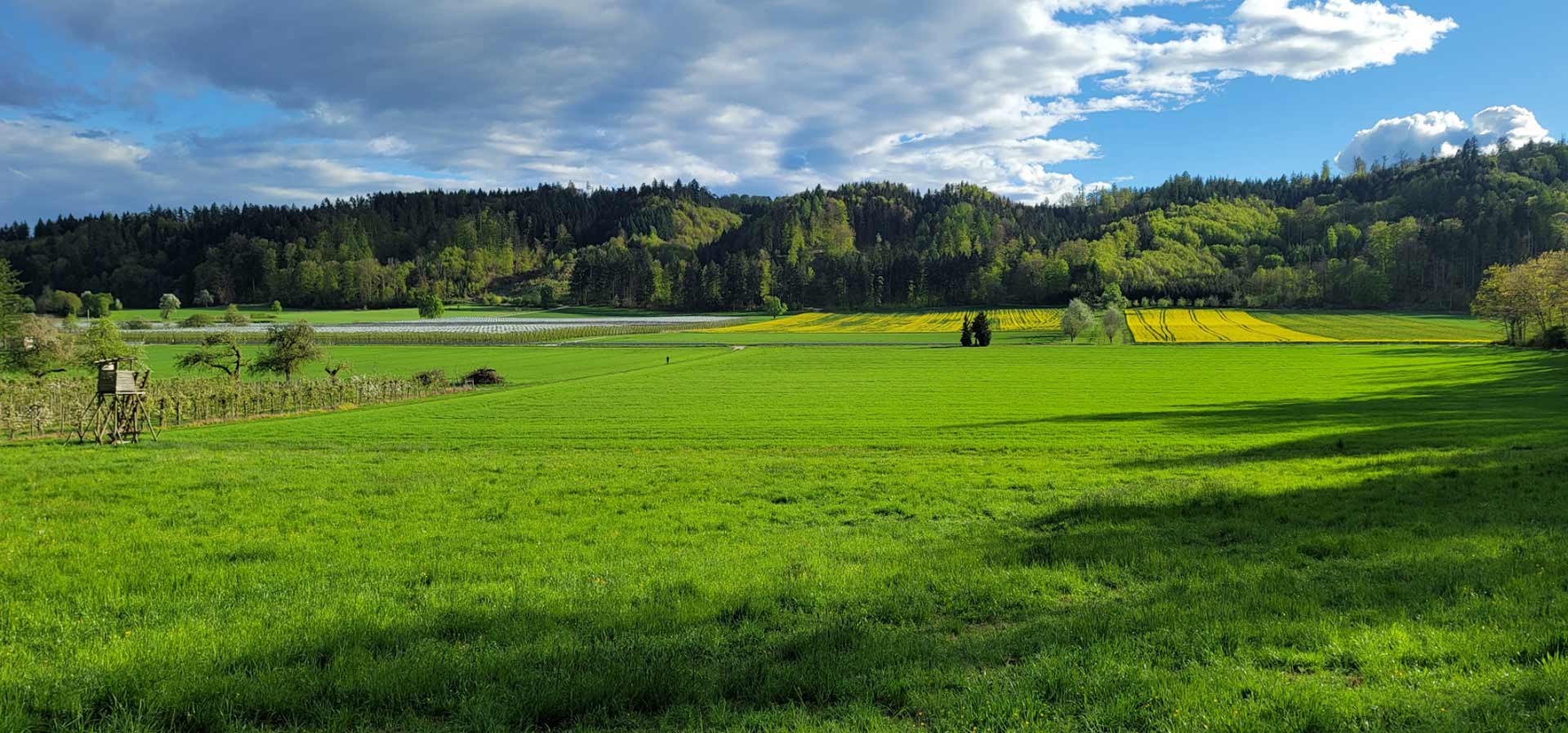 Gegenwind Hochbuehl Owingen hb unversehrt 20250421 180928