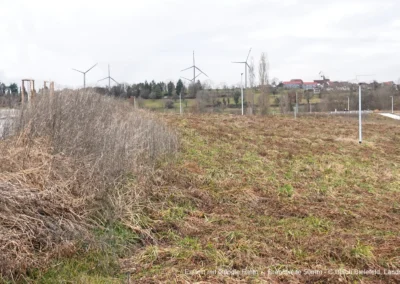 Gegenwind Hochbuehl Ulrich Bielefeld Hinter Haerlen 2 50mm 1920px